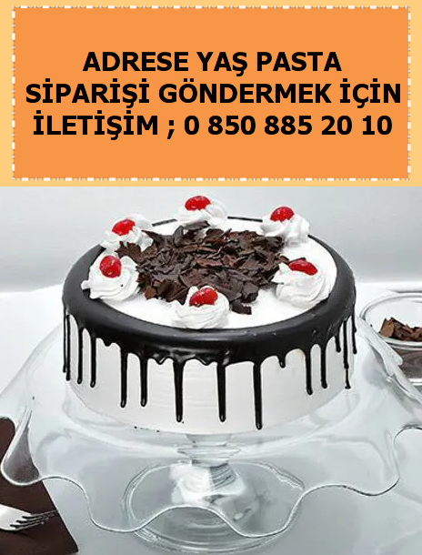 Çorum Alaca pasta siparişi göndermek doğum günü pastası yolla