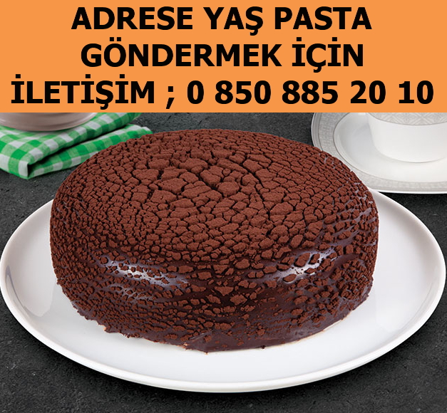 Alaca Çorum pasta yolla doğum günü pastası siparişi yolla